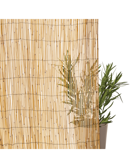 Canisse Paillon L.5 x H.1,5 m - ECLOZ ECLOZ Occultation, canisse et treillage