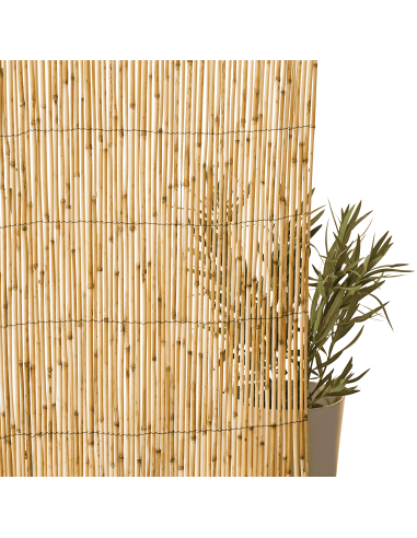 Canisse Roseaux L.5 x H.1 m - ECLOZ ECLOZ Occultation, canisse et treillage