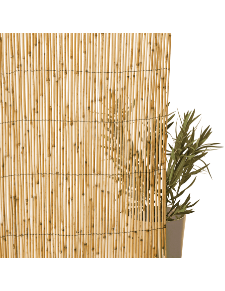 Canisse Roseaux L.5 x H.1,5 m - ECLOZ ECLOZ Occultation, canisse et treillage