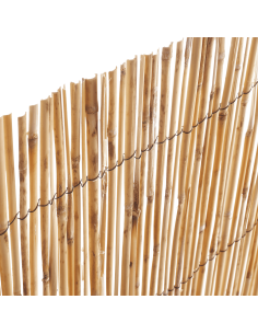 Canisse Roseaux L.5 x H.1,5 m - ECLOZ ECLOZ Occultation, canisse et treillage 2