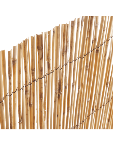 Canisse Roseaux L.5 x H.1,5 m - ECLOZ ECLOZ Occultation, canisse et treillage