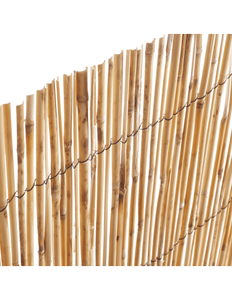 Canisse Roseaux L.5 x H.1,5 m - ECLOZ ECLOZ Occultation, canisse et treillage