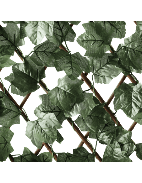 Treillis extensible Feuillage L.2 x H.1 m - ECLOZ ECLOZ Occultation, canisse et treillage