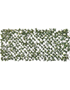 Treillis extensible Feuillage L.2 x H.1 m - ECLOZ ECLOZ Occultation, canisse et treillage 2