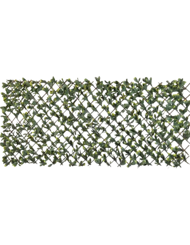 Treillis extensible Feuillage L.2 x H.1 m - ECLOZ ECLOZ Occultation, canisse et treillage