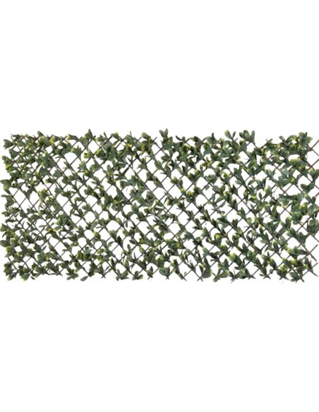 Treillis extensible Feuillage L.2 x H.1 m - ECLOZ ECLOZ Occultation, canisse et treillage