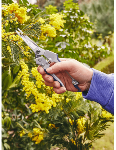 Épinette à poignée aluminium - ECLOZ ECLOZ Sécateur et cisaille