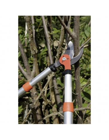 Ebrancheur téléscopique Bahco Coupe-branche
