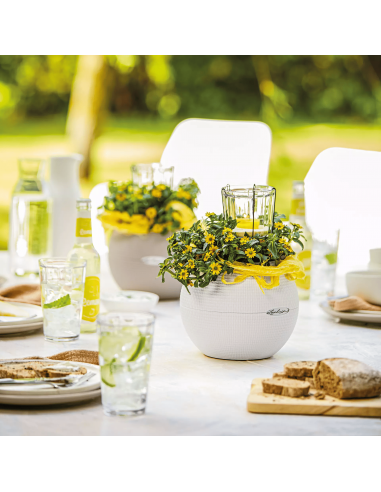 Pot à réserve d'eau Puro Color Ø20 cm Blanc - Lechuza Lechuza Pot à réserve d'eau