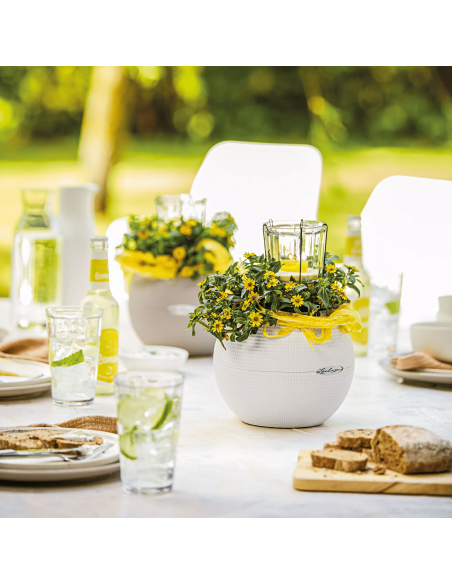 Pot à réserve d'eau Puro Color Ø20 cm Blanc - Lechuza Lechuza Pot à réserve d'eau