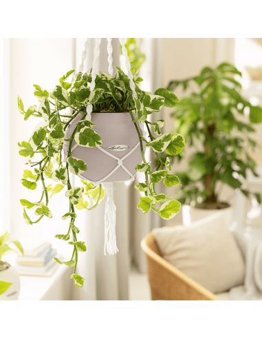 Pot à réserve d'eau Puro Color Ø20 cm Blanc - Lechuza Lechuza Pot à réserve d'eau