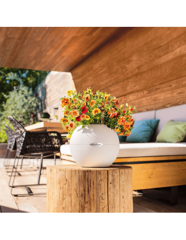 Pot à réserve d'eau Puro Color Ø20 cm Blanc - Lechuza Lechuza Pot à réserve d'eau