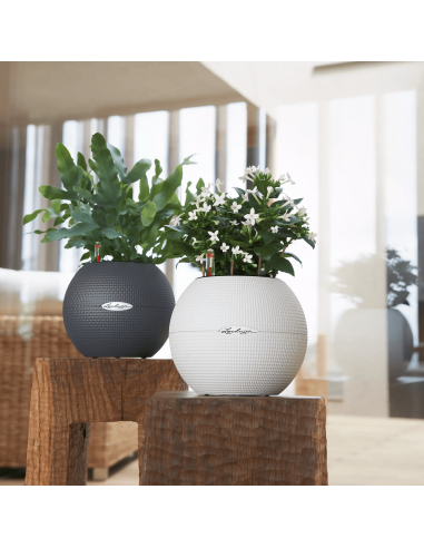 Pot à réserve d'eau Puro Color Ø20 cm Blanc - Lechuza Lechuza Pot à réserve d'eau