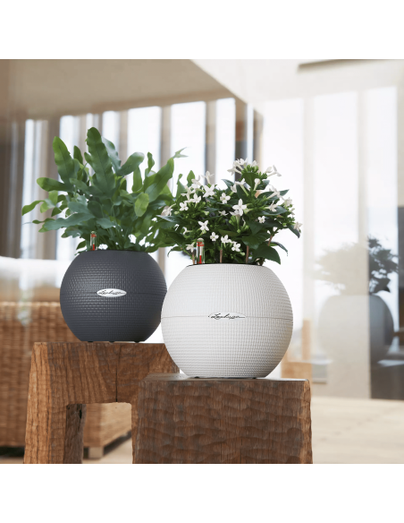 Pot à réserve d'eau Puro Color Ø20 cm Blanc - Lechuza Lechuza Pot à réserve d'eau