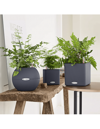 Pot à réserve d'eau Puro Color Ø20 cm Gris ardoise - Lechuza Lechuza Pot à réserve d'eau