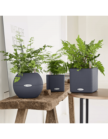 Pot à réserve d'eau Puro Color Ø20 cm Gris ardoise - Lechuza Lechuza Pot à réserve d'eau