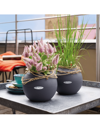 Pot à réserve d'eau Puro Color Ø20 cm Gris ardoise - Lechuza Lechuza Pot à réserve d'eau