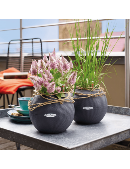 Pot à réserve d'eau Puro Color Ø20 cm Gris ardoise - Lechuza Lechuza Pot à réserve d'eau