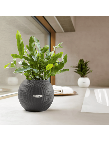 Pot à réserve d'eau Puro Color Ø20 cm Gris ardoise - Lechuza Lechuza Pot à réserve d'eau