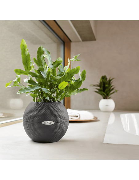 Pot à réserve d'eau Puro Color Ø20 cm Gris ardoise - Lechuza Lechuza Pot à réserve d'eau