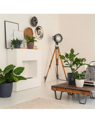 Pot à réserve d'eau Classico Color Ø18 cm Blanc - Lechuza Lechuza Pot à réserve d'eau