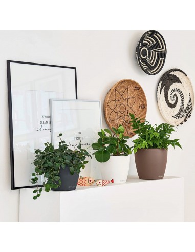 Pot à réserve d'eau Classico Color Ø18 cm Blanc - Lechuza Lechuza Pot à réserve d'eau