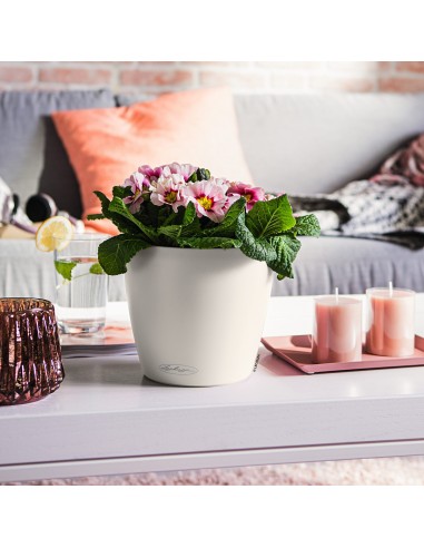Pot à réserve d'eau Classico Color Ø18 cm Blanc - Lechuza Lechuza Pot à réserve d'eau