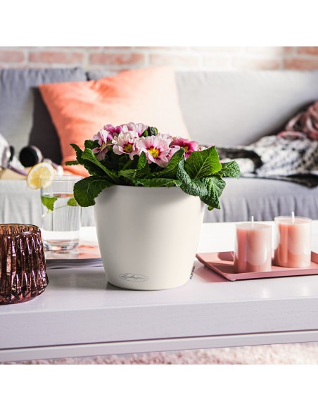 Pot à réserve d'eau Classico Color Ø18 cm Blanc - Lechuza Lechuza Pot à réserve d'eau
