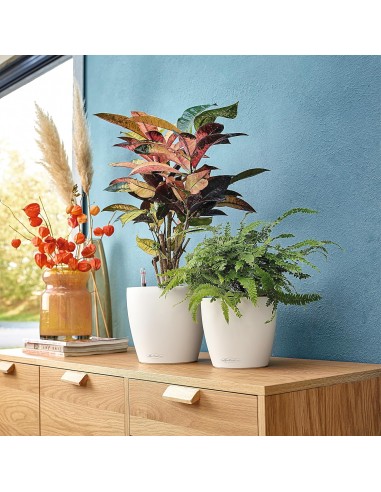 Pot à réserve d'eau Classico Color Ø18 cm Blanc - Lechuza Lechuza Pot à réserve d'eau