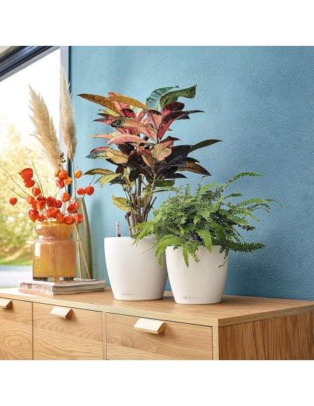 Pot à réserve d'eau Classico Color Ø18 cm Blanc - Lechuza Lechuza Pot à réserve d'eau