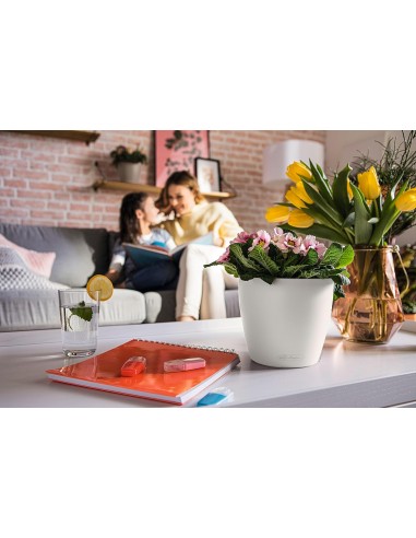 Pot à réserve d'eau Classico Color Ø18 cm Blanc - Lechuza Lechuza Pot à réserve d'eau