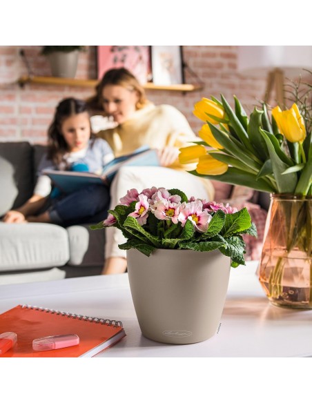 Pot à réserve d'eau Classico Color Ø18 cm Gris - Lechuza Lechuza Pot à réserve d'eau