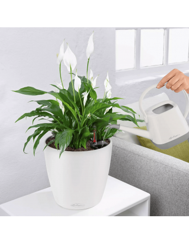 Pot à réserve d'eau Classico Color Ø21 cm Blanc - Lechuza Lechuza Pot à réserve d'eau