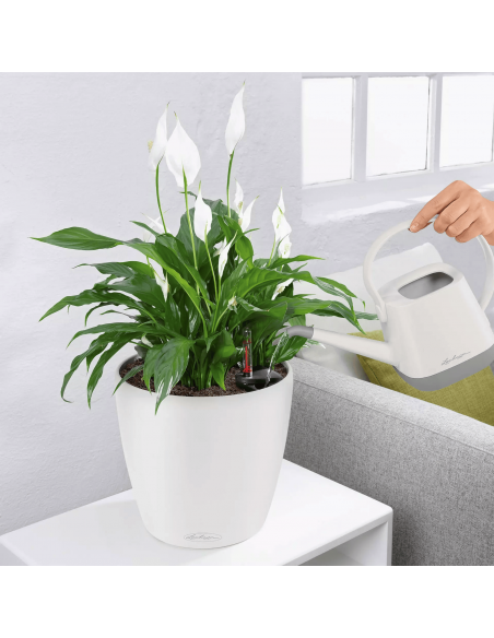 Pot à réserve d'eau Classico Color Ø21 cm Blanc - Lechuza Lechuza Pot à réserve d'eau