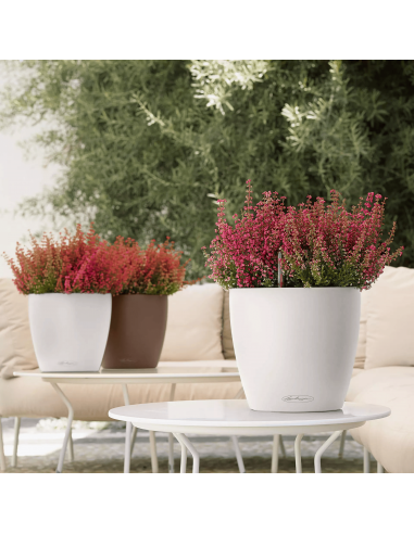 Pot à réserve d'eau Classico Color Ø21 cm Blanc - Lechuza Lechuza Pot à réserve d'eau