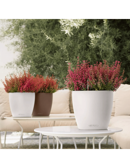 Pot à réserve d'eau Classico Color Ø21 cm Blanc - Lechuza Lechuza Pot à réserve d'eau