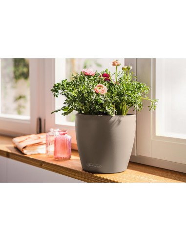 Pot à réserve d'eau Classico Color Ø21 cm Gris - Lechuza Lechuza Pot à réserve d'eau