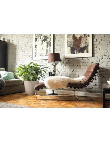 Pot à réserve d'eau Classico Color Ø28 cm Gris - Lechuza Lechuza Pot à réserve d'eau