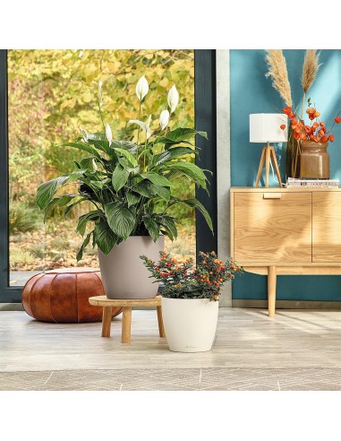 Pot à réserve d'eau Classico Color Ø28 cm Gris - Lechuza Lechuza Pot à réserve d'eau