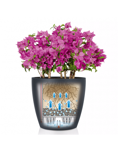 Pot à réserve d'eau Classico Color Ø35 cm Blanc - Lechuza Lechuza Pot à réserve d'eau