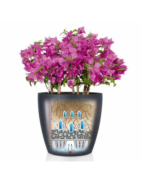 Pot à réserve d'eau Classico Color Ø35 cm Blanc - Lechuza Lechuza Pot à réserve d'eau