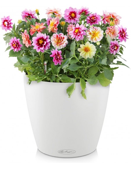 Pot à réserve d'eau Classico Color Ø35 cm Blanc - Lechuza Lechuza Pot à réserve d'eau