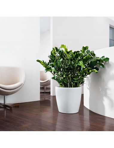 Pot à réserve d'eau Classico Color Ø35 cm Blanc - Lechuza Lechuza Pot à réserve d'eau