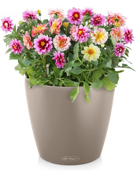 Pot à réserve d'eau Classico Color Ø35 cm Gris - Lechuza Lechuza Pot à réserve d'eau