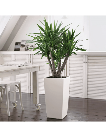 Pot à réserve d'eau Cubico Color 30 cm Blanc - Lechuza Lechuza Pot à réserve d'eau