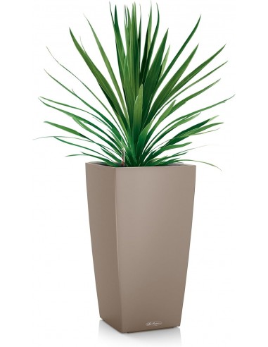 Pot à réserve d'eau Cubico Color 40 cm Gris - Lechuza Lechuza Pot à réserve d'eau