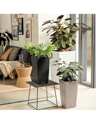 Pot à réserve d'eau Cubico Color 40 cm Gris - Lechuza Lechuza Pot à réserve d'eau