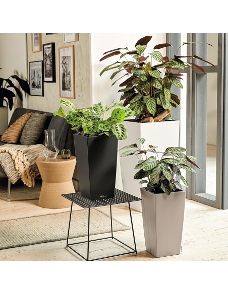 Pot à réserve d'eau Cubico Color 40 cm Gris - Lechuza Lechuza Pot à réserve d'eau