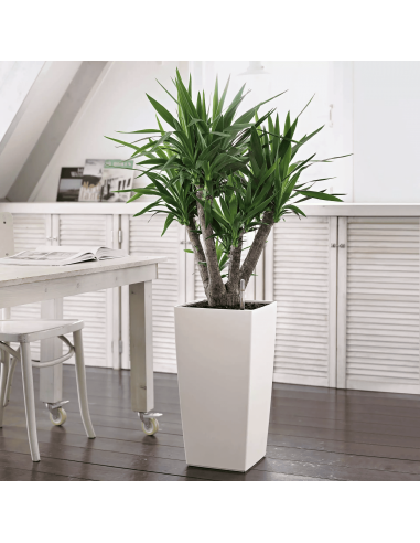 Pot à réserve d'eau Cubico Color 40 cm Blanc - Lechuza Lechuza Pot à réserve d'eau