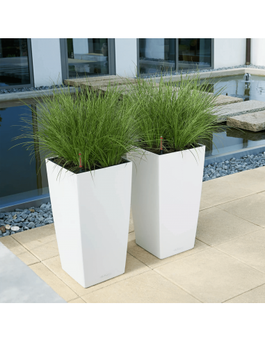 Pot à réserve d'eau Cubico Color 40 cm Blanc - Lechuza Lechuza Pot à réserve d'eau